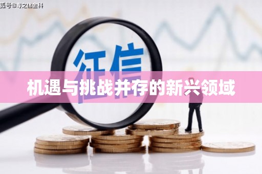 原州机遇与挑战并存的新兴领域