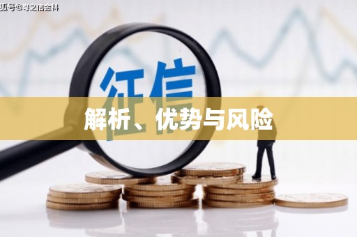 原州解析、优势与风险