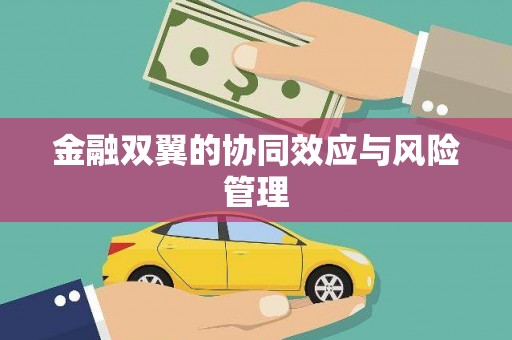 原州金融双翼的协同效应与风险管理