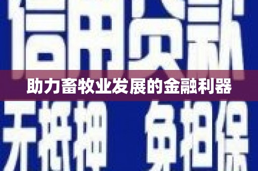 原州助力畜牧业发展的金融利器